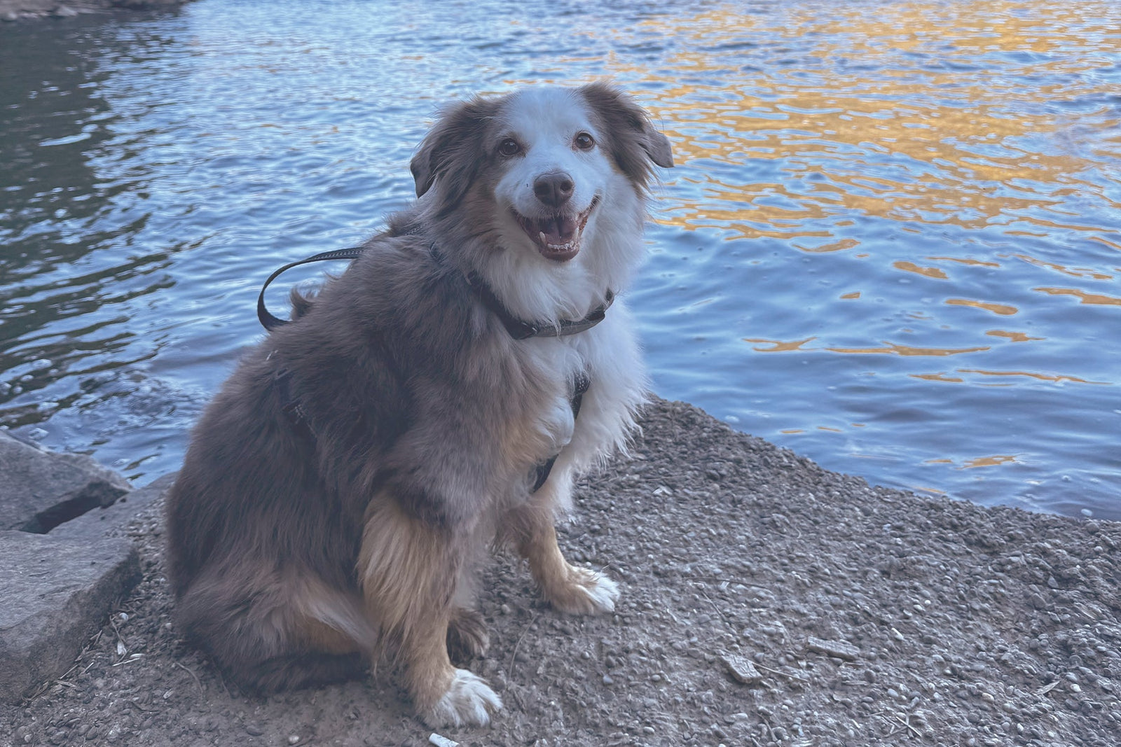 STINKER OF THE MONTH / JULY 2025 : RENLY