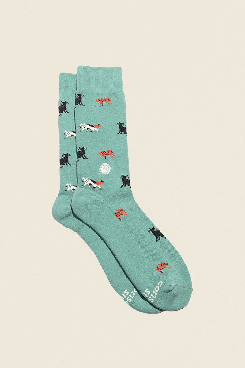 teal socks with cats