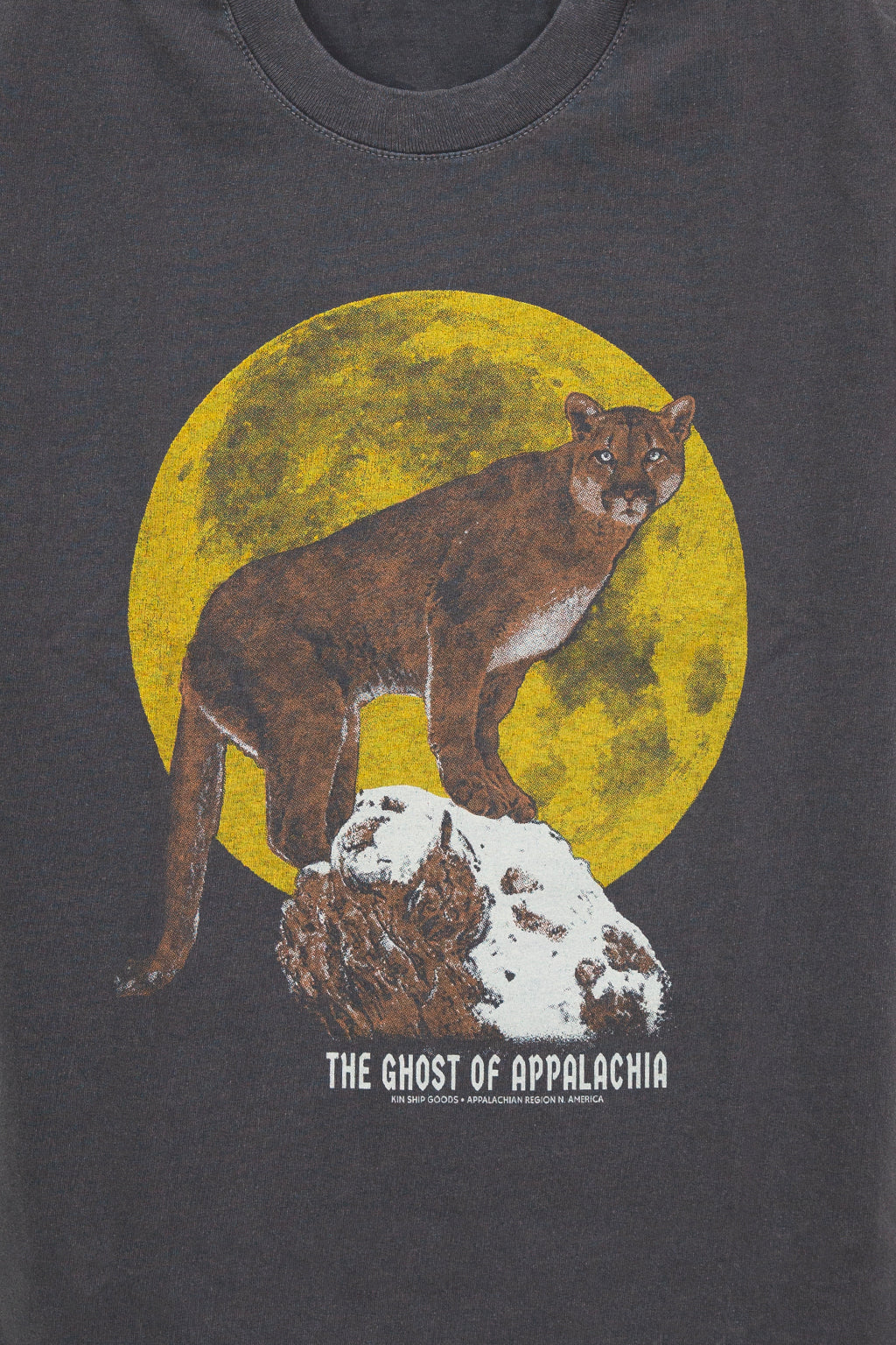 Ghost of Appalachia Tee