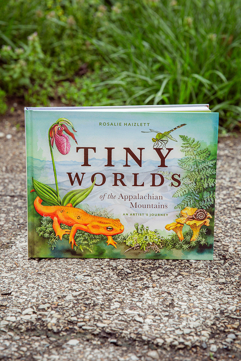 Tiny Worlds of the Appalachian Mountains
